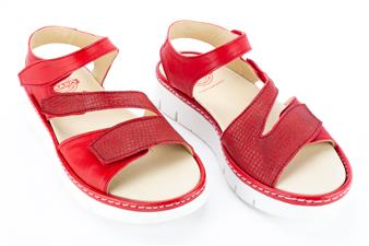 ROOD PRINT 3 VELCRO SHEY