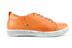 Afb. Detail D van ROEST LAGE BASKET ELASTIEK