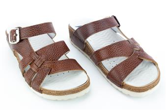 CAMEL SLIPPER GESP