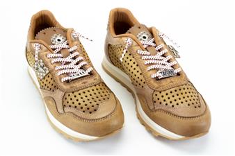 CAMEL SNEAKER PERFOREE