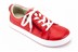 Afb. Detail A van ROOD LAGE MET ROOD AAN ZOOL