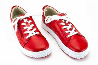 ROOD LAGE  MET ROOD AAN ZOOL