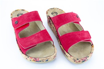 ROOD SLIPPER BLOEM-KURKZOOL