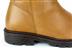 Afb. Detail C van CAMEL LAARS STOERE ZOOL