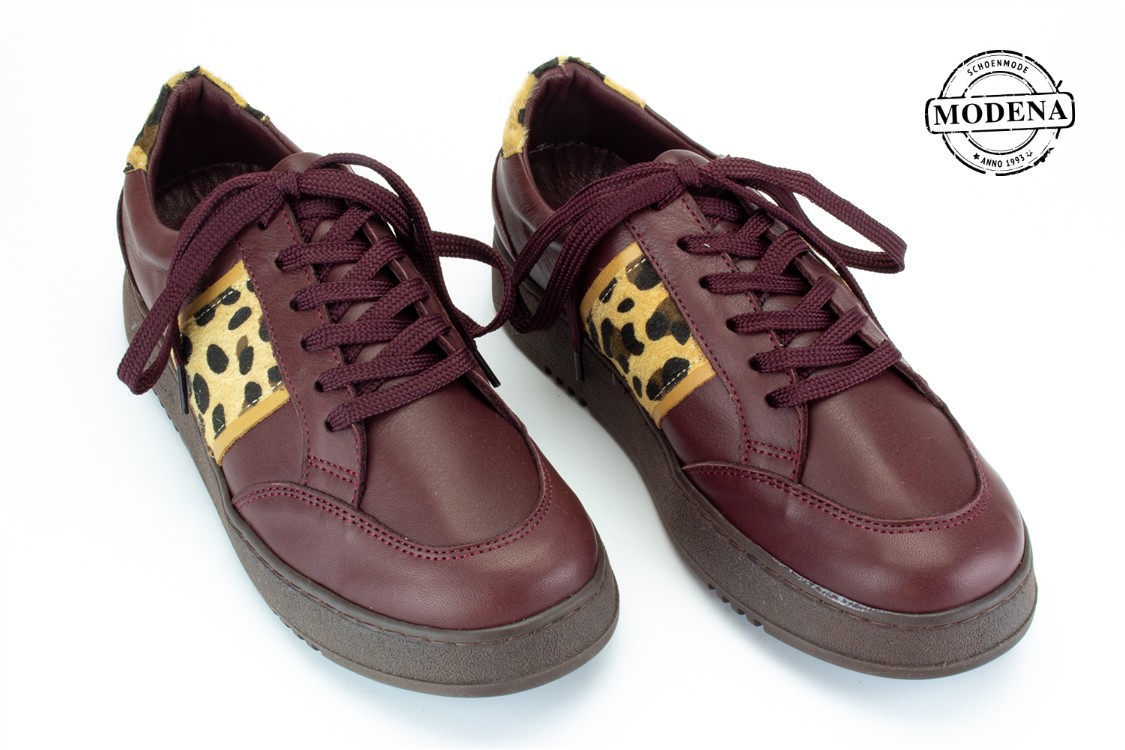 Modena schoenmode - leopard lage sneaker - bordo- leopard sneaker