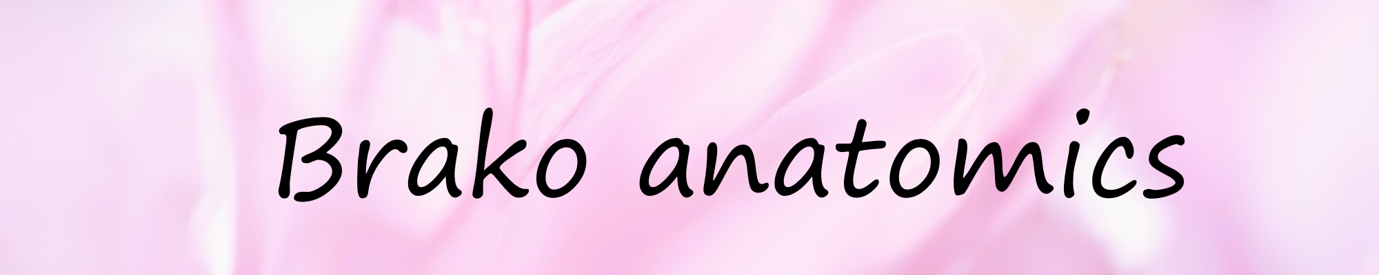 Banner Brako Anatomics Banner Brako Anatomics