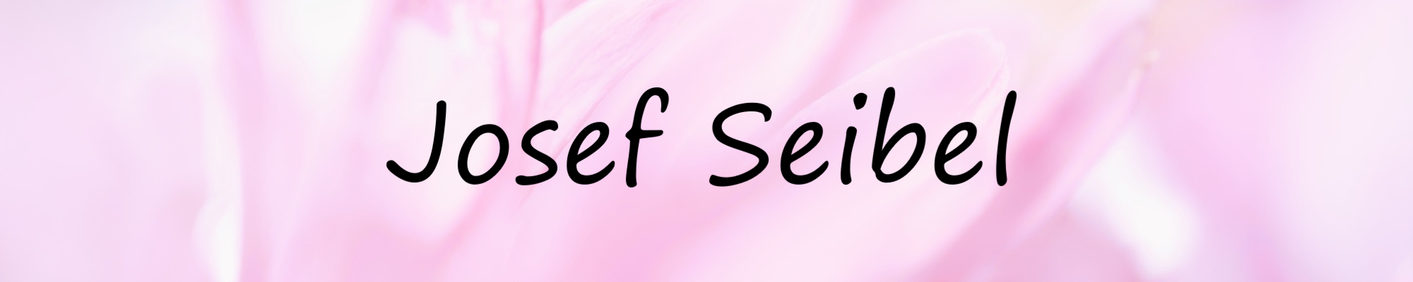 Banner Josef Seibel