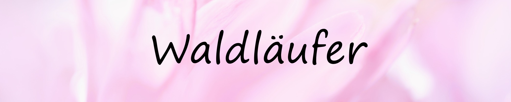 Banner Waldlaufer